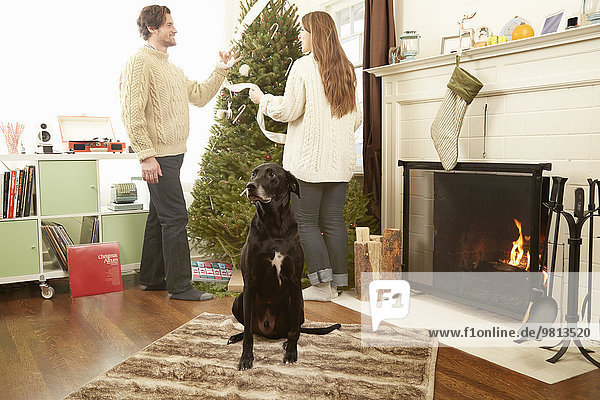 Young couple with pet dog preparing decorations for christmas tree