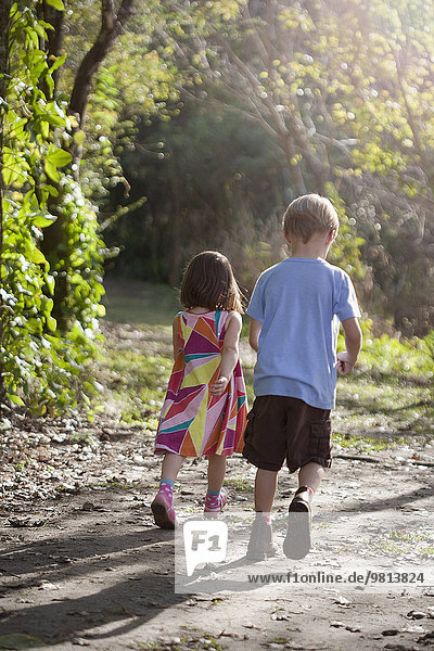 Young boy and girl walking on dirt path  rear view