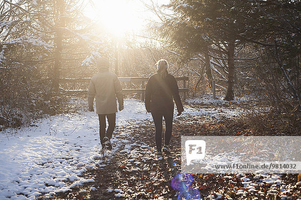 Rückansicht des Paares beim Spaziergang im sonnigen verschneiten Wald