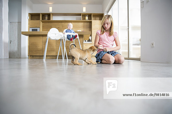Girl playing with puppy on dining room floor