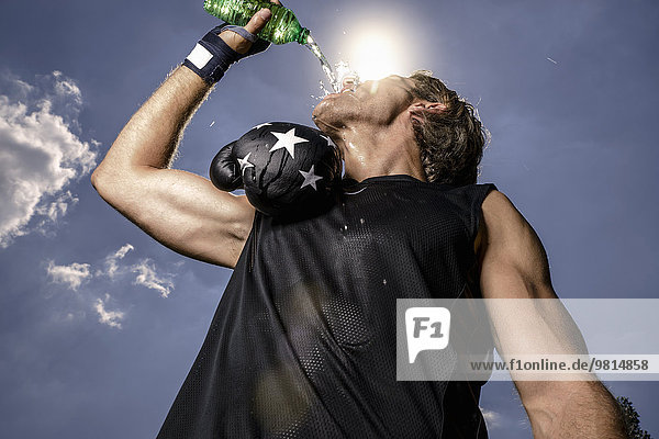 Niedriger Blickwinkel auf den mittleren erwachsenen Boxer  der in Flaschen abgefülltes Wasser trinkt.