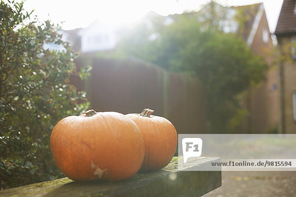 Two pumpkins on garden bench