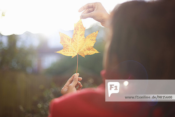 Frauenhände halten Herbstblatt im sonnigen Park hoch