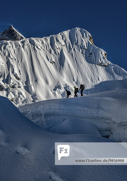 Nepal  Khumbu  Everest region  mountaineers on Island peak