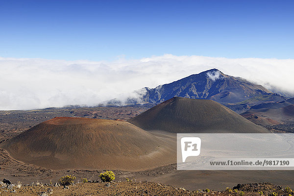 USA  Hawaii  Maui  Haleakala  Vulkanlandschaft mit Schlackenkegeln
