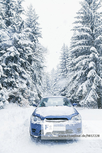 Bulgaria  Vitosha  car on a snowy road