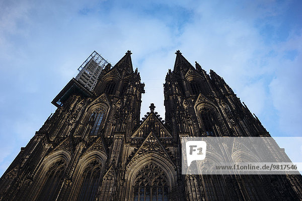 Deutschland,  Köln,  Blick auf den Kölner Dom von unten