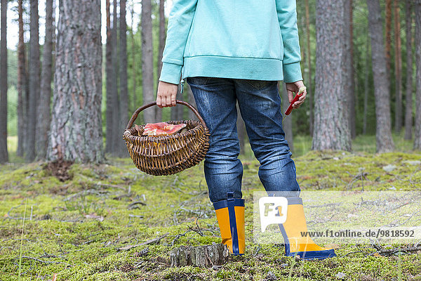 Estland  Mädchen mit Weidenkorb mit Pilzen im Wald