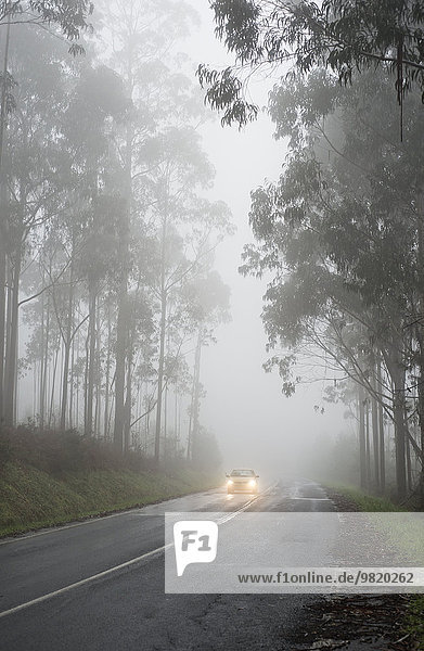 Spanien  Galizien  Coruna  Autofahren auf der Landstraße im Nebel