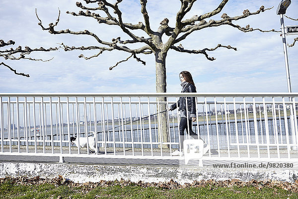 Deutschland,  Düsseldorf,  Junge Frau geht mit ihrem Hund spazieren