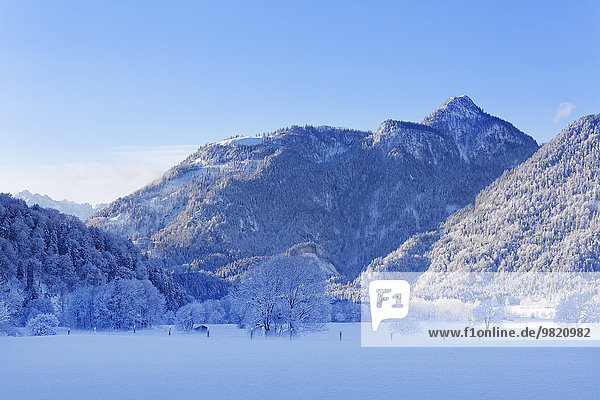 Deutschland  Bayern  Oberbayern  Chiemgau  Chiemgauer Alpen  Blick auf den Berg Rudersburg am Vormittag