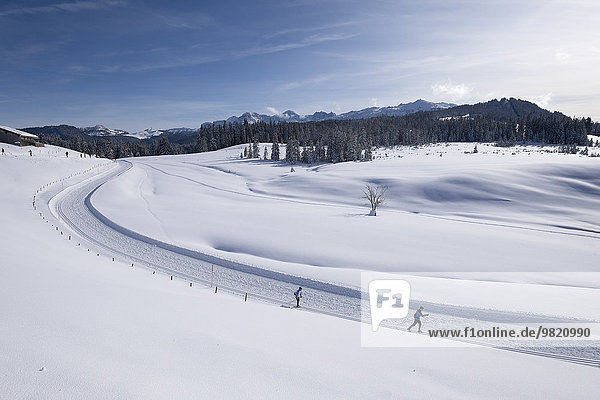 Germany  Reit im Winkl  snow-covered Winklmoosalm with cross-country skiers
