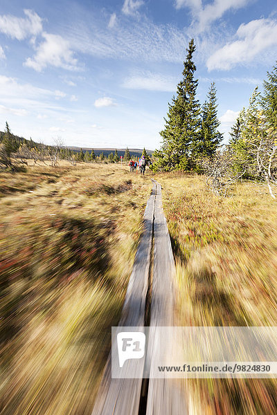 Blurred dirt road  hikers on background