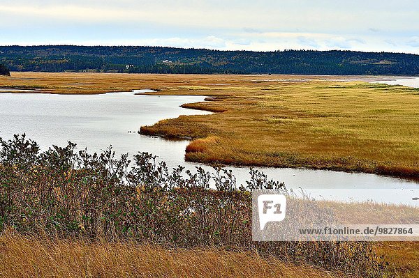 nahe Wasser Landschaft Querformat Sumpf Bucht Braunschweig Kanada Meeresarm neu Speisesalz Salz