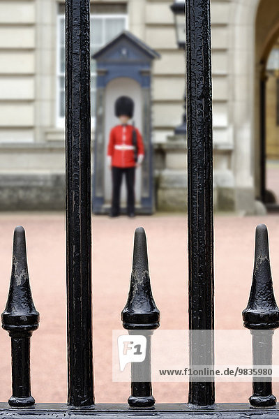 Guardsman outside Buckingham Palace  viewed through the railings  London  England  United Kingdom  Europe