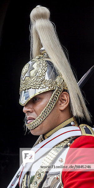 Wachmann der Horse Guards London England Großbritannien Europa