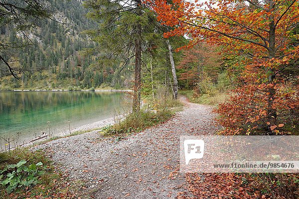 nebeneinander neben Seite an Seite durchsichtig transparent transparente transparentes folgen gehen Landschaft klein See Herbst Tirol Österreich