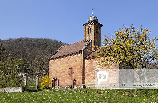 Nikolauskapelle  Klingenmünster  Pfalz  Rheinland-Pfalz  Deutschland  Europa