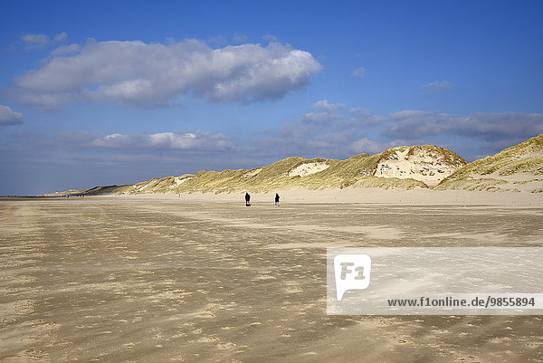 Strand,  Dünen,  Egmond aan Zee,  Nordholland,  Niederlande,  Europa