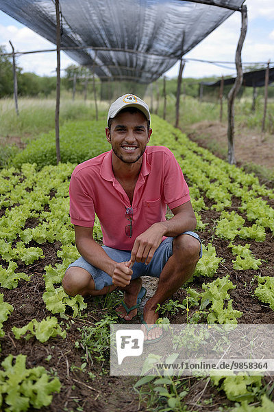 Junger Gärtner in Beet mit Blattsalat  Juazeiro  Bahia  Brasilien  Südamerika