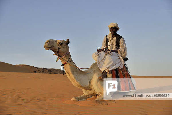 Mann auf Kamel  Meroë  Nubien  Nahr an-Nil  Sudan  Afrika