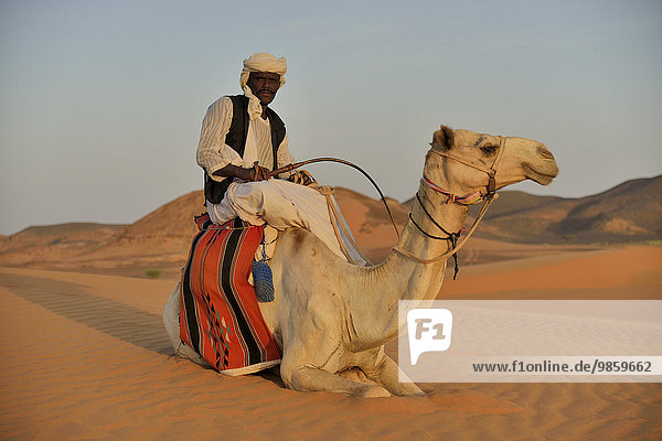 Man on camel  Meroë  Nubia  River Nile state  Sudan  Africa