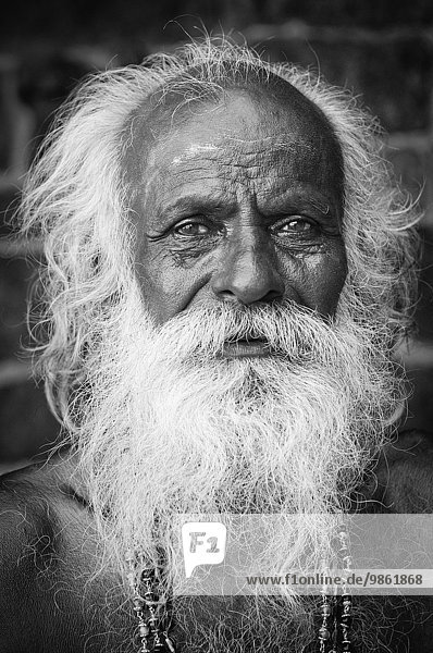 Alter Sadhu mit weißem Bart und weißen Haaren  Porträt  Karaikudi  Tamil Nadu  Südindien  Indien  Asien