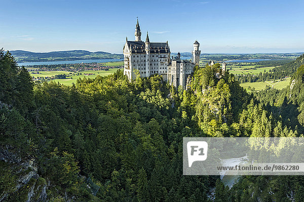 Schloss Neuschwanstein über der Pöllatschlucht  Forggensee  Bannwaldsee  Schwangau  Ostallgäu  Allgäu  Schwaben  Bayern  Deutschland  Europa