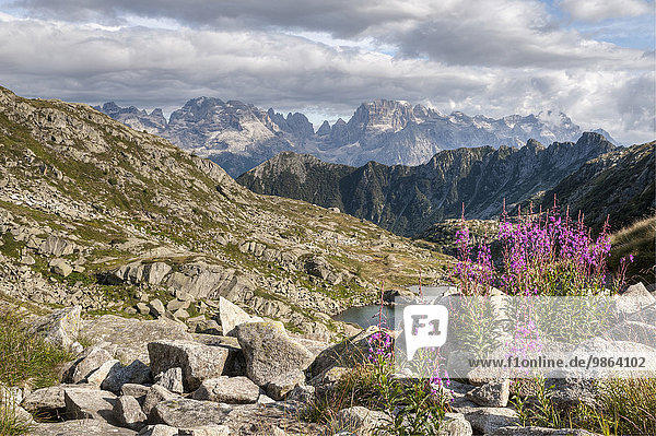 Landschaft folgen See 5 Alpen Mittelpunkt Dolomiten Kraut Italien