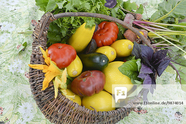 Frische Sommer Korb Gemüse Tomate Salat Radieschen