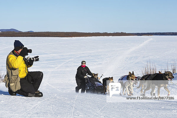 Official photographer  Jeff Schultz  photographs Jessie Royer as she leaves the Yukon River at Kaltag during the 2014 Iditarod  Interior Alaska