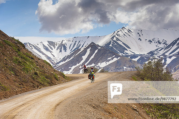 A Woman bicycle touring in Denali National Park  Grassy Pass  Southcentral Alaska