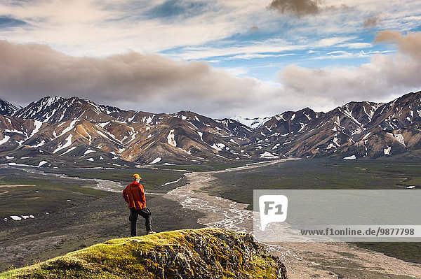 A man standing on a bluff at Polychome Pass with the Plains of Murie and the Alaska Range in the background  Denali National Park  Interior Alaska