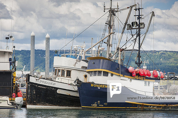 Fischereihafen Fischerhafen Sommer klein Boot Dock angeln Kenai-Fjords-Nationalpark Kenai-Halbinsel