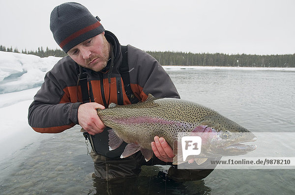 Winter halten Fluss vorwärts Forelle Fliegenfischen Regenbogenforelle Oncorhynchus mykiss Kenai-Fjords-Nationalpark Alaska