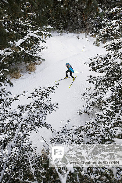 nahe Frau Winter folgen Skisport Ski Norden Kenai-Fjords-Nationalpark Kenai-Halbinsel