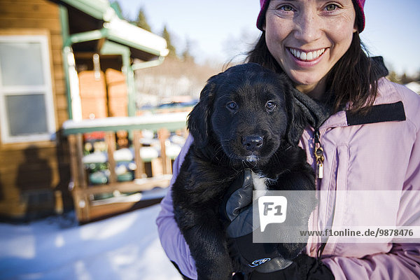 Young Woman Holds Her Bernese Mountain Dog Puppy Outdoors During Winter With A Cabin In The Background Near Homer  Alaska