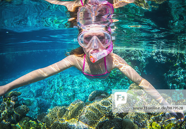 'Snorkelling; Niue Island'