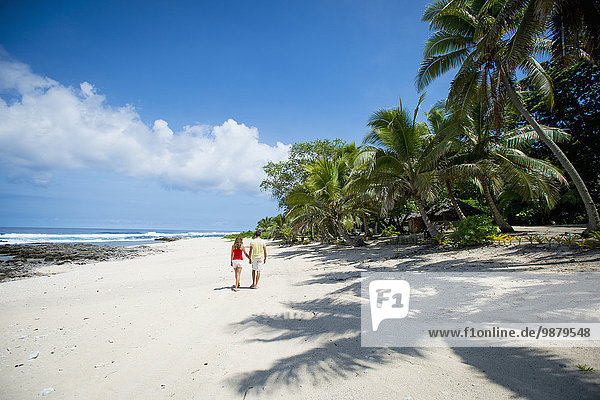gehen Strand Tourist vorwärts Tanna Insel
