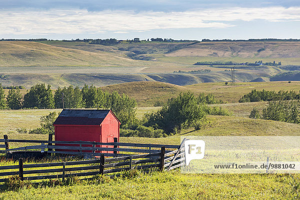 Small red barn and wooden fence in rolling fields with trees; Alberta  Canada