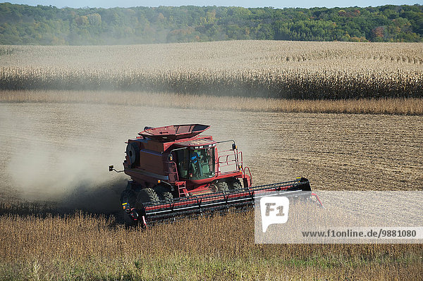 Soybean harvesting; United States of America