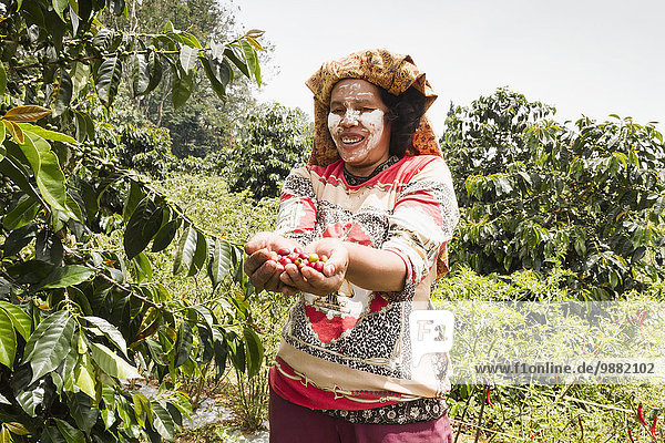 Frau halten Beerenobst Kaffee Indonesien