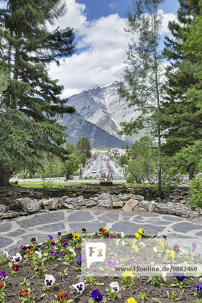 'Banff National Park Administration Office looking towards town; Banff  Alberta  Canada'