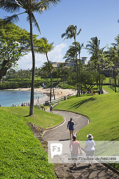 'Beachwalk to Kapalua Beach; Kapalua  Maui  Hawaii  United States of America'