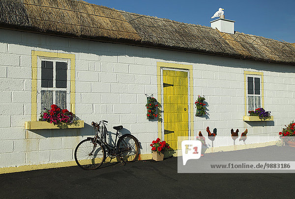 Fassade Hausfassade Dorf streichen streicht streichend anstreichen anstreichend angeln Ardmore Irland County Waterford alt Reet