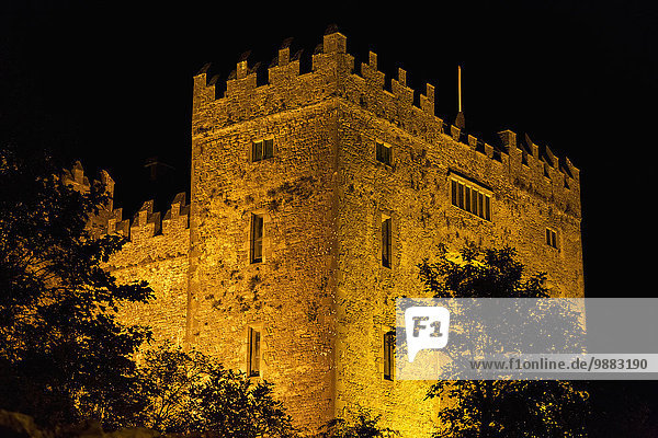 Palast Schloß Schlösser Nacht Baum Silhouette Himmel schwarz Beleuchtung Licht beleuchtet Clare County