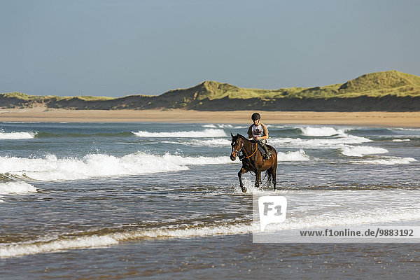 'Horse and rider on beach with grassy sand dunes and blue sky; Count Clare  Ireland'