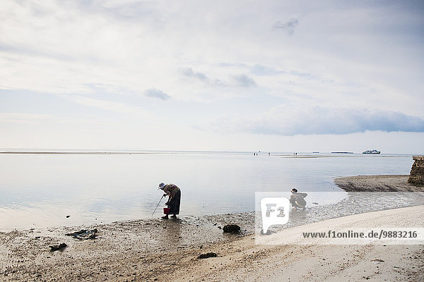 'During low tide at Nathon Beach on Ko Samui  local women dig throught the sand to gather shellfish; Nathon  Ko Samui  Thailand'