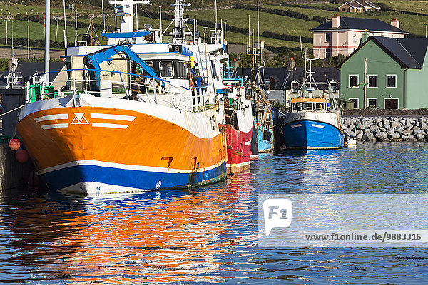 Wasser Spiegelung Boot bunt Close-up angeln Kerry County Dingle