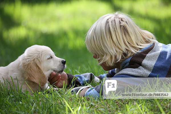 Boy stroking Golden Retriever puppy on grass